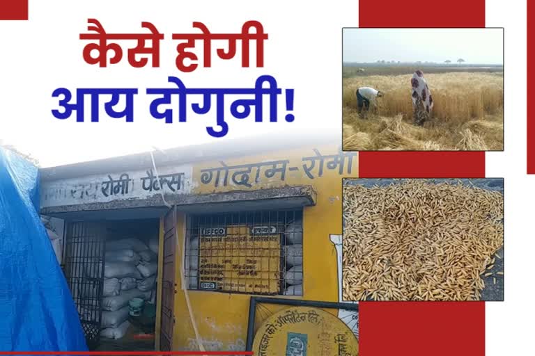 farmers-upset-due-to-no-payment-of-paddy-sale-in-hazaribag