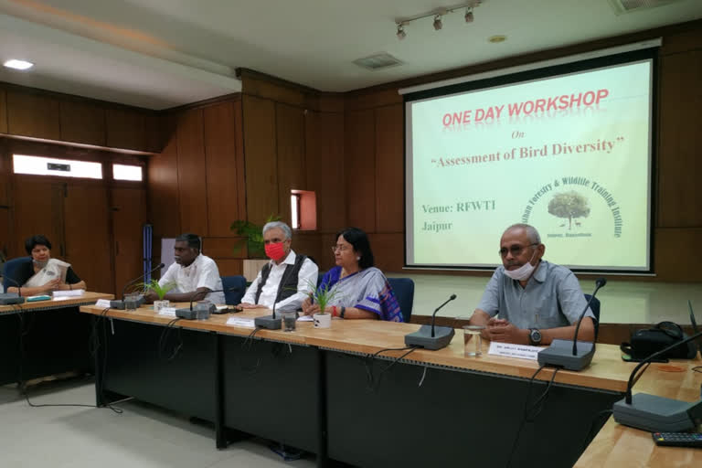 assessment of bird diversity, bird workshop in Jaipur