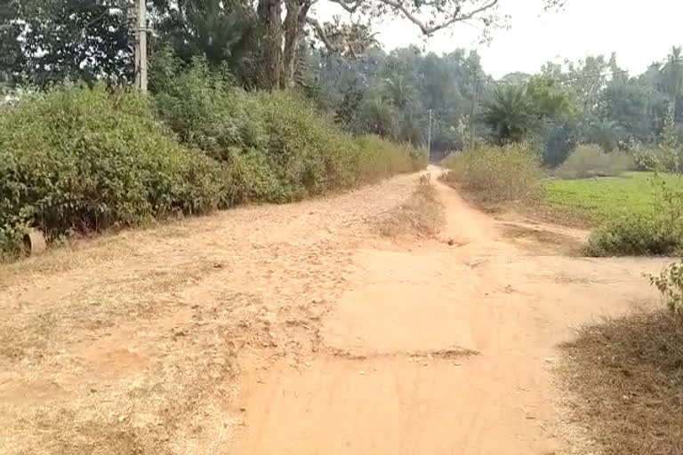 condition of bhalsumiha-village road is very bad in dumka
