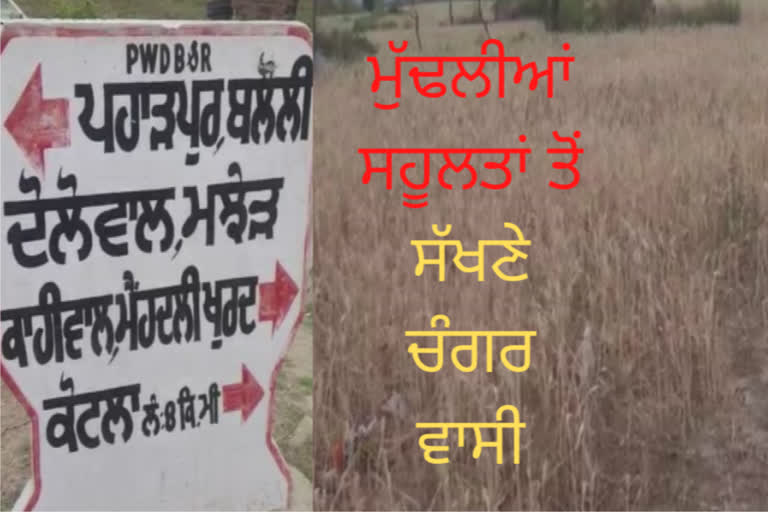 ਤਸਵੀਰ