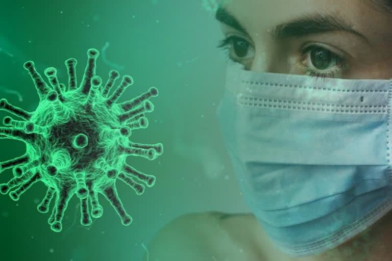 204 new corona virus cases  in telangana