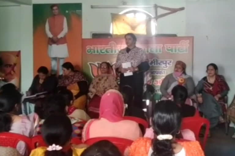 Bharatiya Janata Party Woman's District Level Meeting in hamirpur