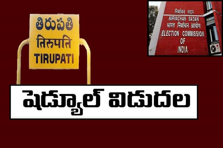 tirupati by election