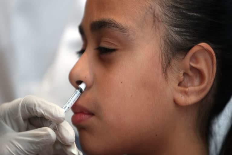 Intranasal Vaccine