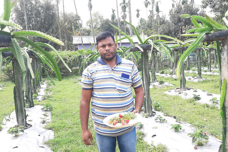 থলুৱা কৃষিৰে স্বাৱলম্বী হোৱা এজন কৃষক...