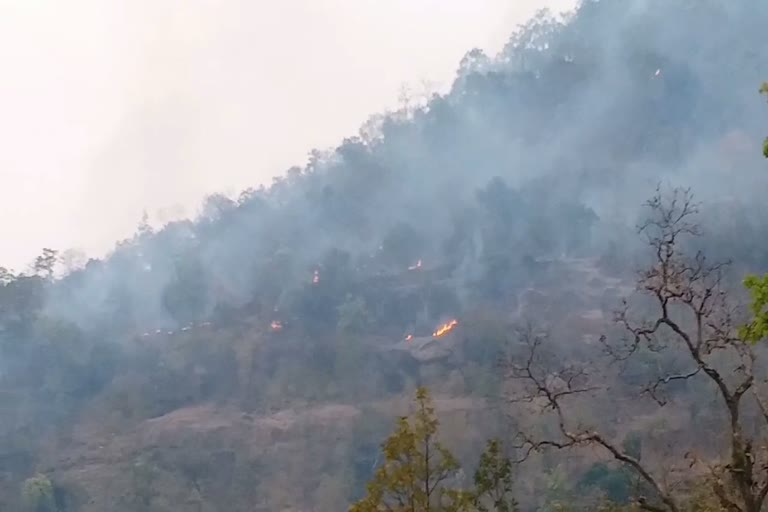 Fire in Korba Forest Division, कोरबा वन मंडल में आग