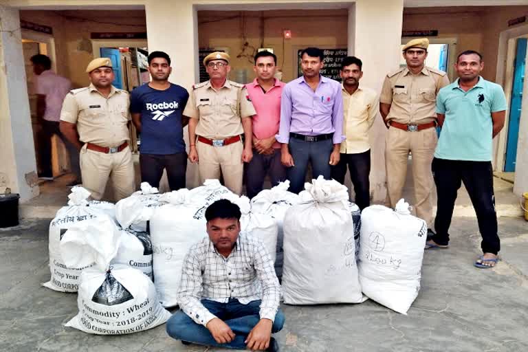 Big gang of hemp smuggling  sikar news  sikar crime  सीकर क्राइम  गांजा तस्करी  Hemp smuggling  263 किलो गांजा बरामद