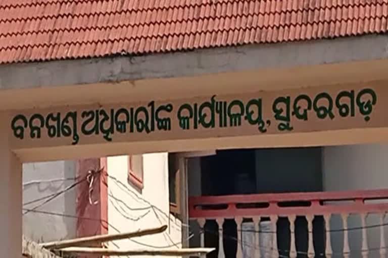 ଜଙ୍ଗଲ ନିଆଁକୁ ରୋକିବା ପାଇଁ ପଦକ୍ଷେପ