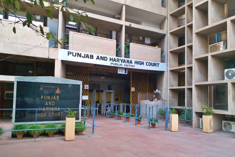 punjab haryana hc order