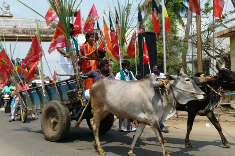 Thiruvarur constituency naam tamilar candidate came in a bullock cart and filed his nomination