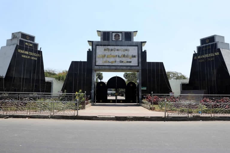 Railway station near vandaloor zoo