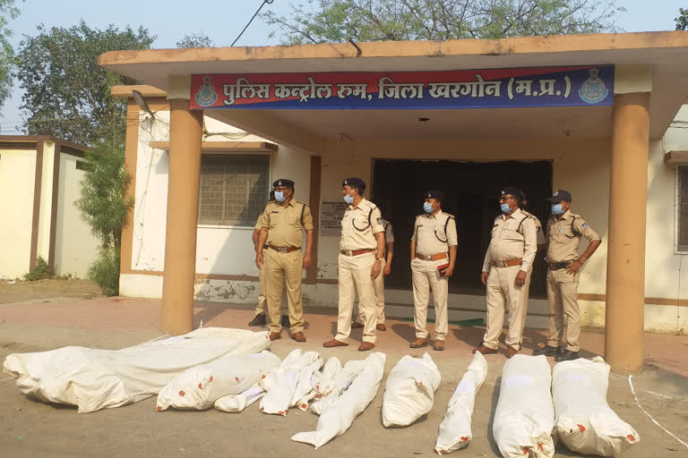 Khargone Police Succeeded, Seized 705 Hemp Plants Worth 7.50 Lakh, khargone news