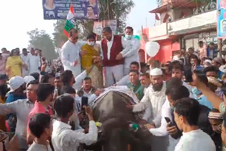 Harish Rawats Buffalo-Buggy  yatra in Landour