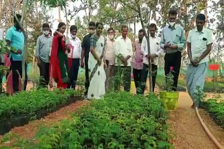 రైతులతో కలెక్టర్ షేక్ యాస్మిన్ భాష సమావేశం