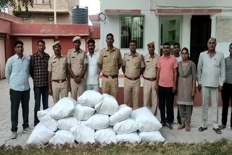 bikaner's latest news,  Poppy cultivation in Bikaner,  Poppy in fennel field Bikaner