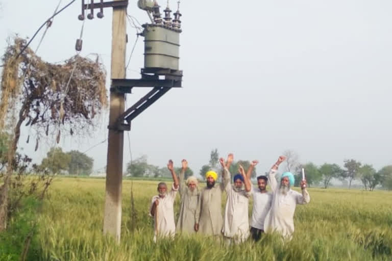 Barnala Updates, Theft of farm transformers