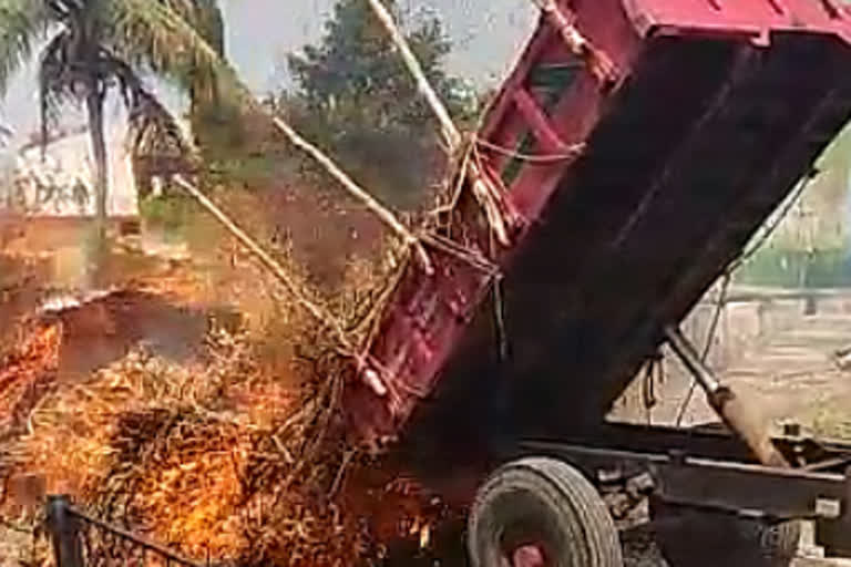 fire caught to fodder, fire caught to fodder in tractor, fire caught to fodder in tractor at Sedam, Sedam news, ಮೇವಿಗೆ ತಗುಲಿದ ಬೆಂಕಿ, ಟ್ರಾಕ್ಟರನಲ್ಲಿದ್ದ ಮೇವಿಗೆ ತಗುಲಿದ ಬೆಂಕಿ, ಗಂಗಾವತಿಯಲ್ಲಿ ಟ್ರಾಕ್ಟರನಲ್ಲಿದ್ದ ಮೇವಿಗೆ ತಗುಲಿದ ಬೆಂಕಿ, ಗಂಗಾವತಿ ಸುದ್ದಿ,