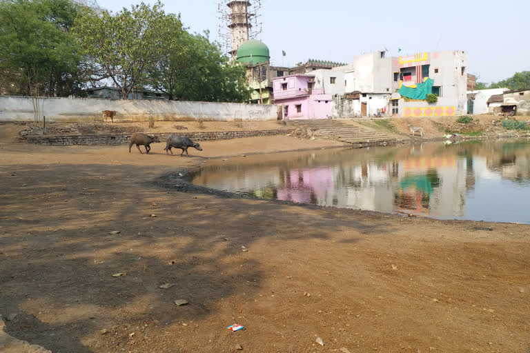 Ponds started drying up in Durg district due to heat