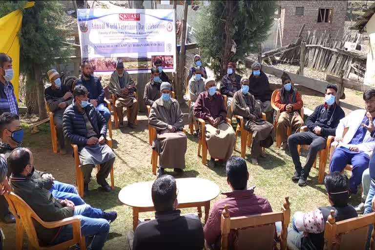 animal health checkup camp held at babanagri ganderbal