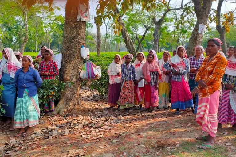 মৰাণৰ চাহ বাগিছাত আটছাৰ বিজেপি বিৰোধী সজাগতা সভা