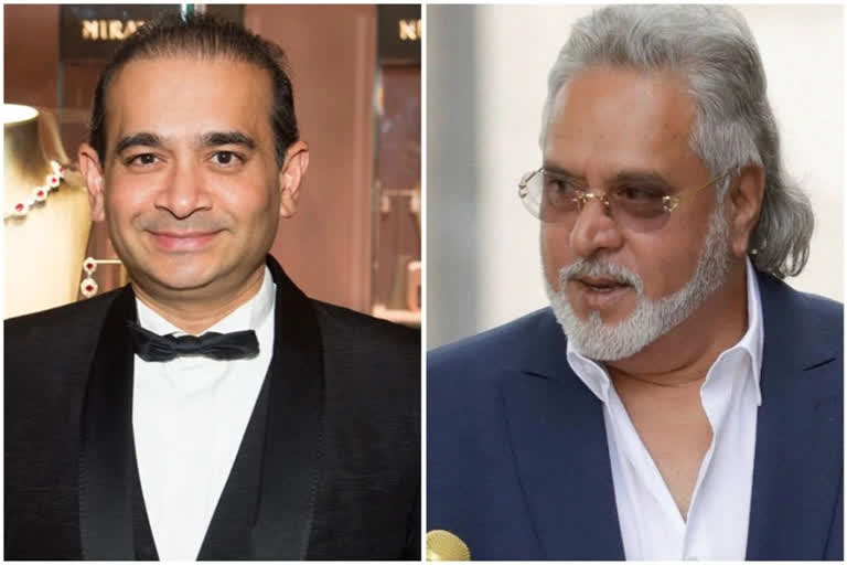 Mallya, Nirav Modi