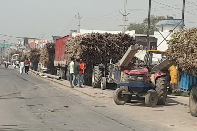 farmers protest against saraswati sugar mill in yamunanagar