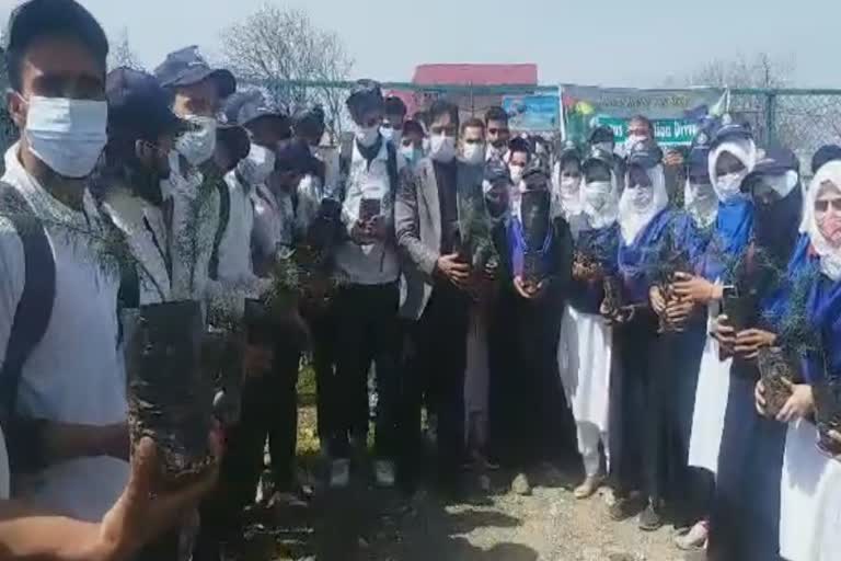 plantation drive at degree college kulgam