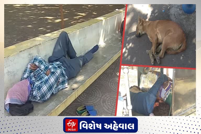 આજે સમગ્ર વિશ્વમાં ઊંઘ દિવસની ઉજવણી