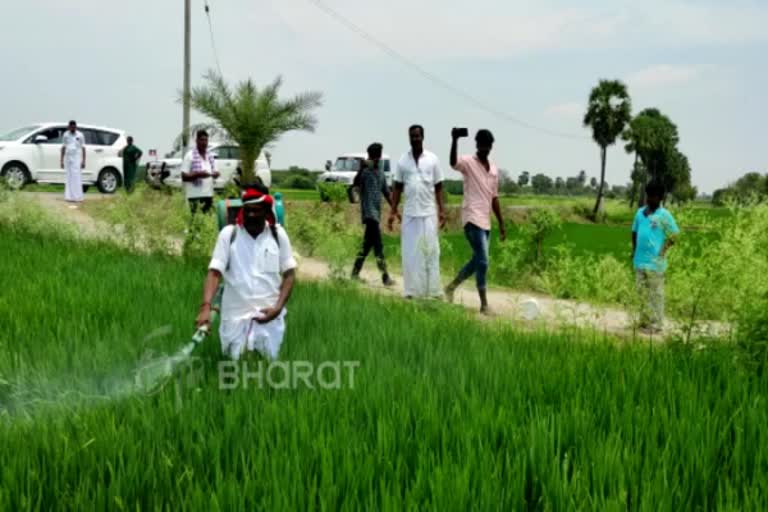 AIADMK candidate election campaign in a differnt way like spraying on crops