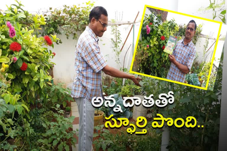 organic farming at home inspired by annadata program at husnabad