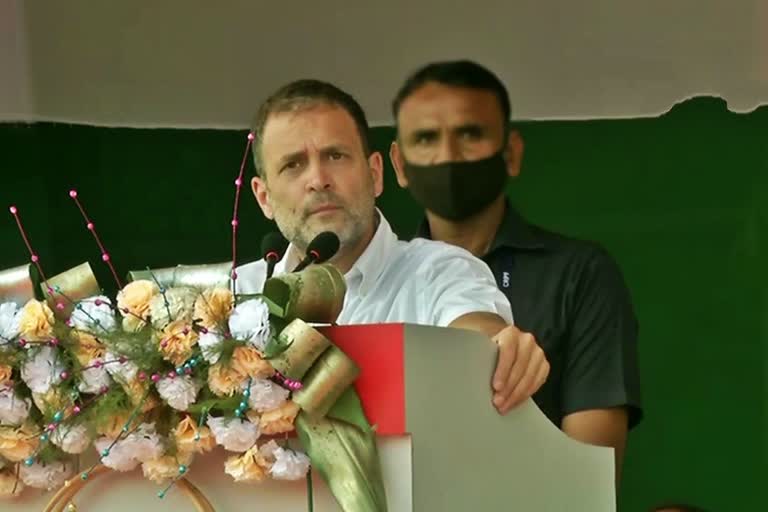 Rahul Gandhi