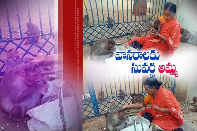 Salaam for selfless service: Elder woman filling monkeys stomach since 20 years