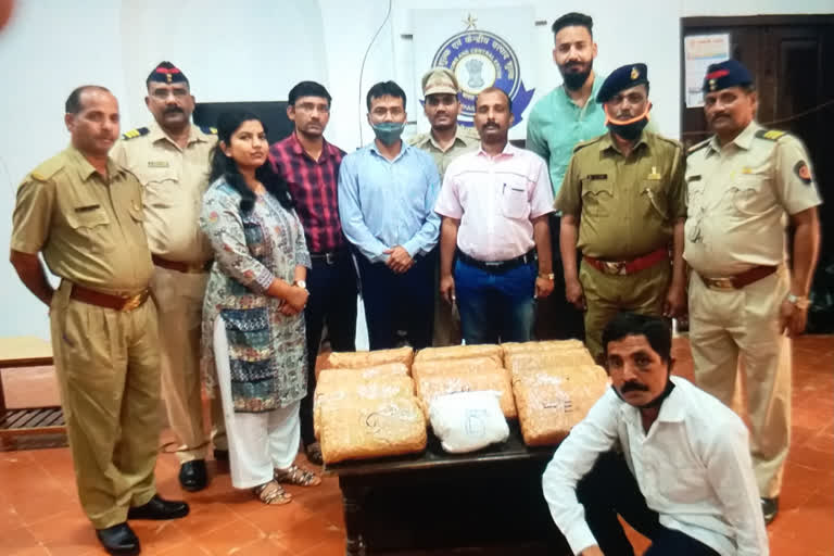 cannabis seized from kelghar