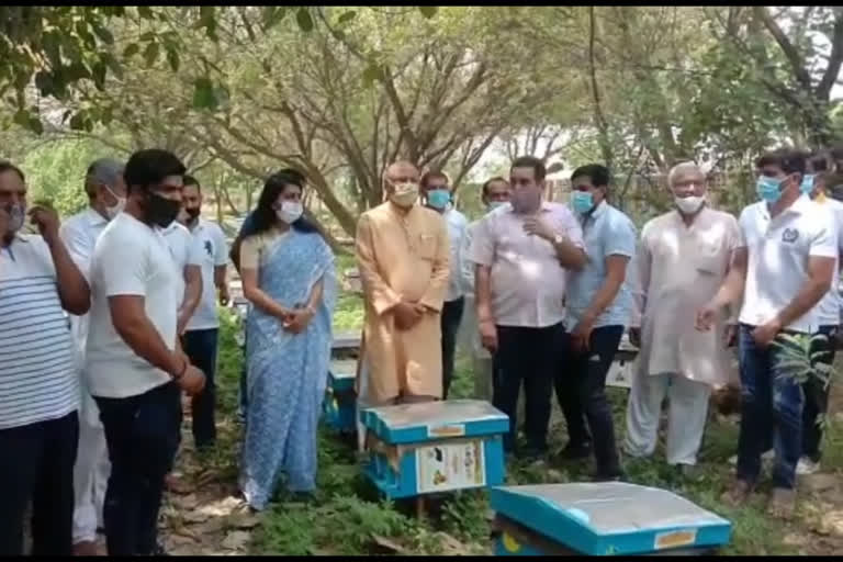 Beekeeping Boxes distributed under Honey Mission in Kanjhawala