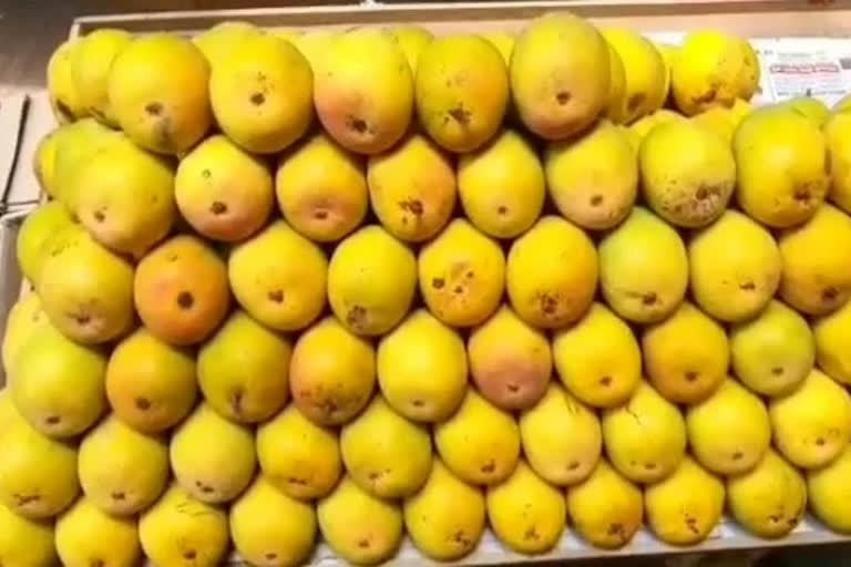 mango