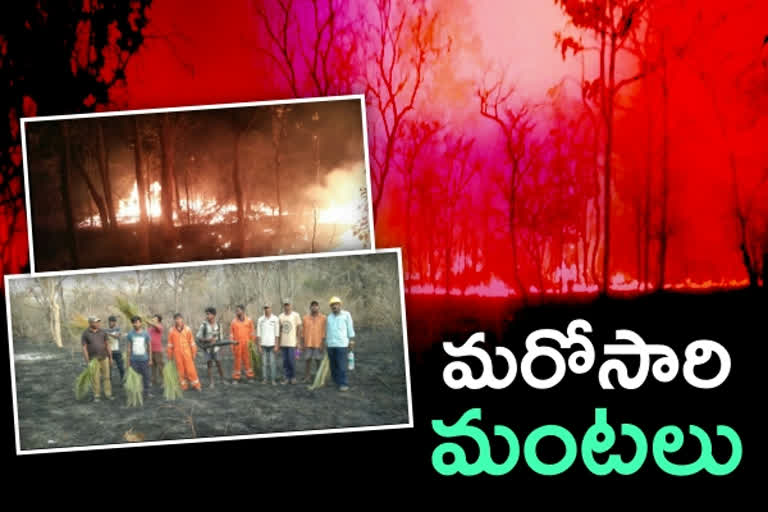 నల్లమలలో మరోసారి చెలరేగిన మంటలు