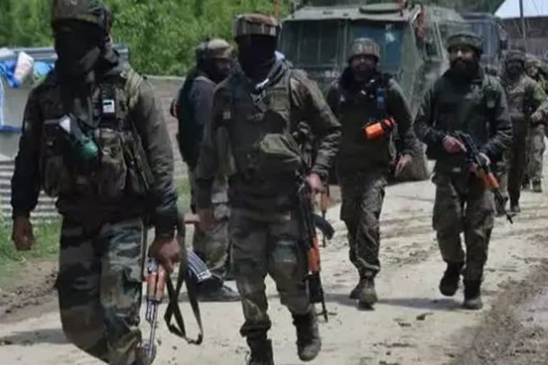 Search operation continues in Tral-Lorow Jagir