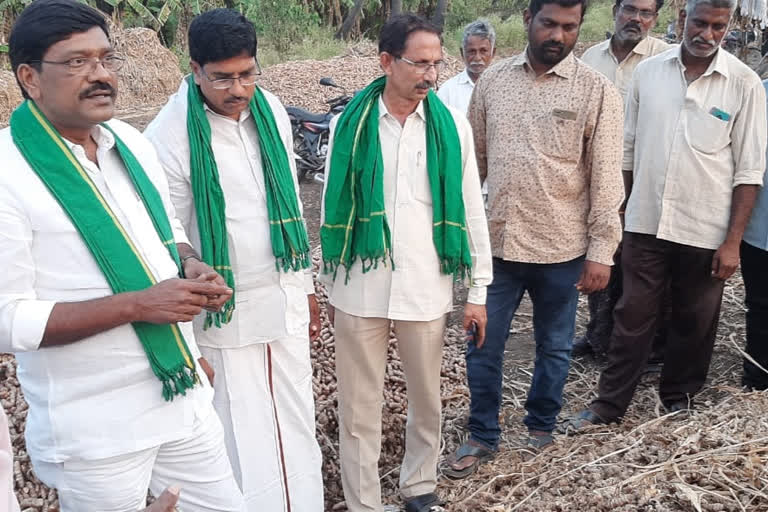 turmeric buying at rythu bharosa centres