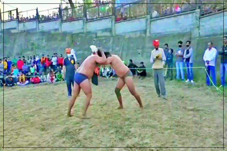 dangal wrestling championship