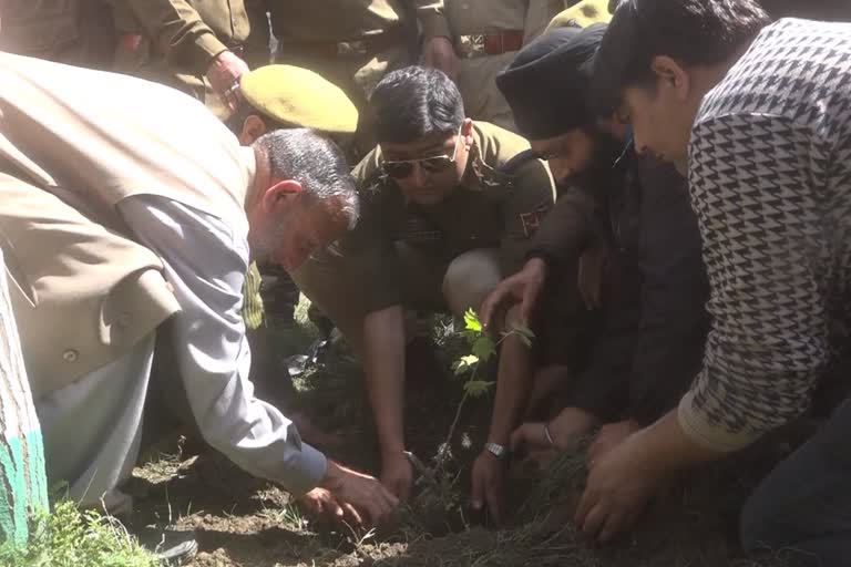 massive plantation drive in different parts of doda