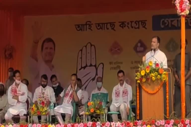 rahul gandhi campaigns for rupjyoti kurmi at mariani