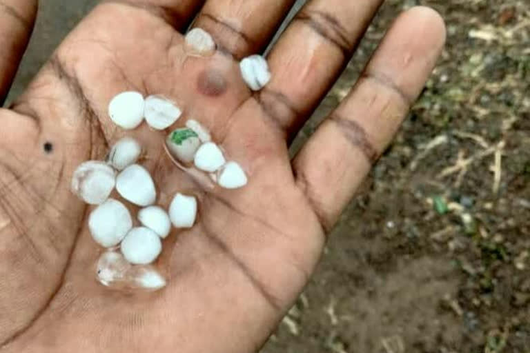 There was hail with heavy rain in Baramati