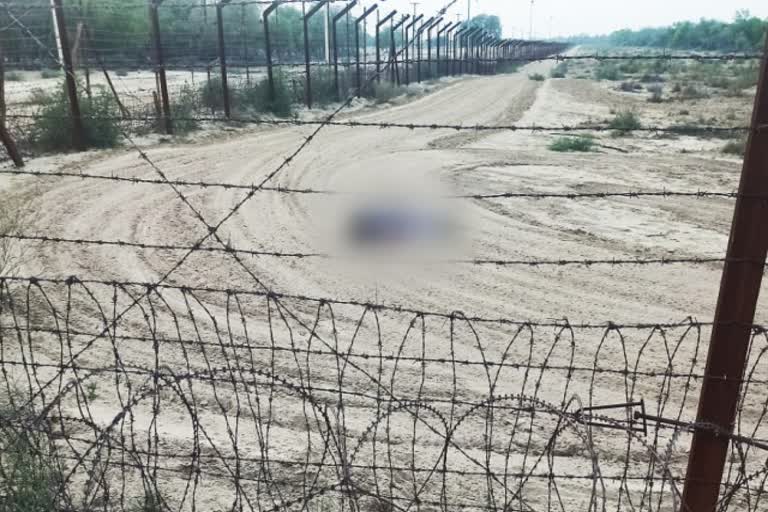 Sriganganagar News,  BSF killed Pakistani intruder