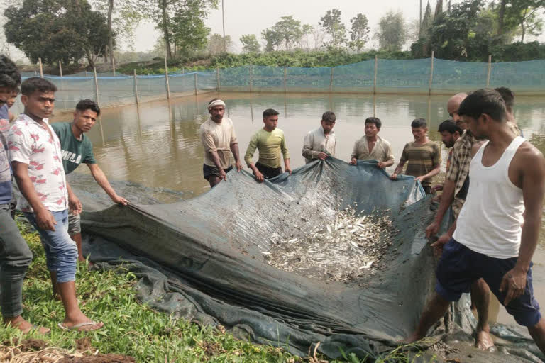 Fish Production programme