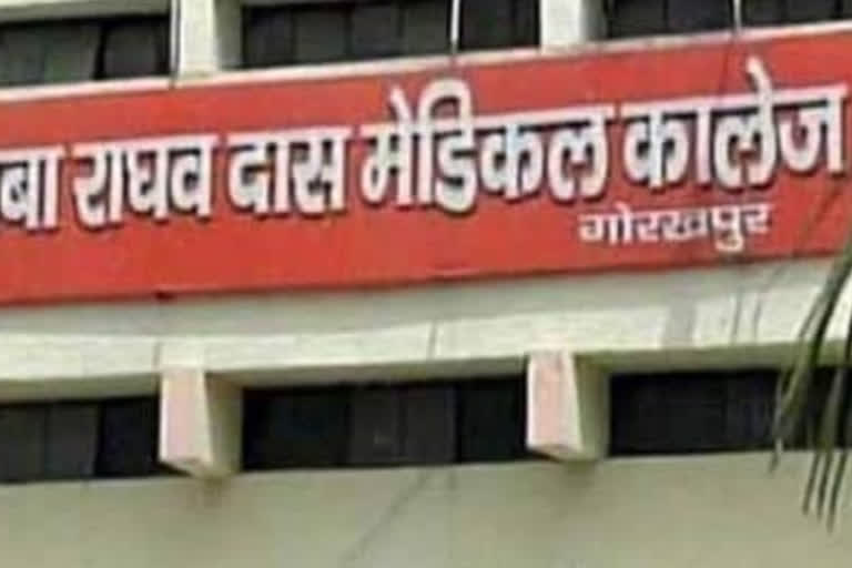 Dogs bite off patient's body at government hospital in UP