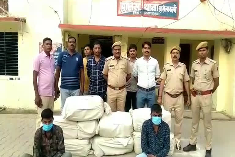 गांजे की तस्करी करते गिरफ्तार, Arrested for smuggling hemp in jhalawar