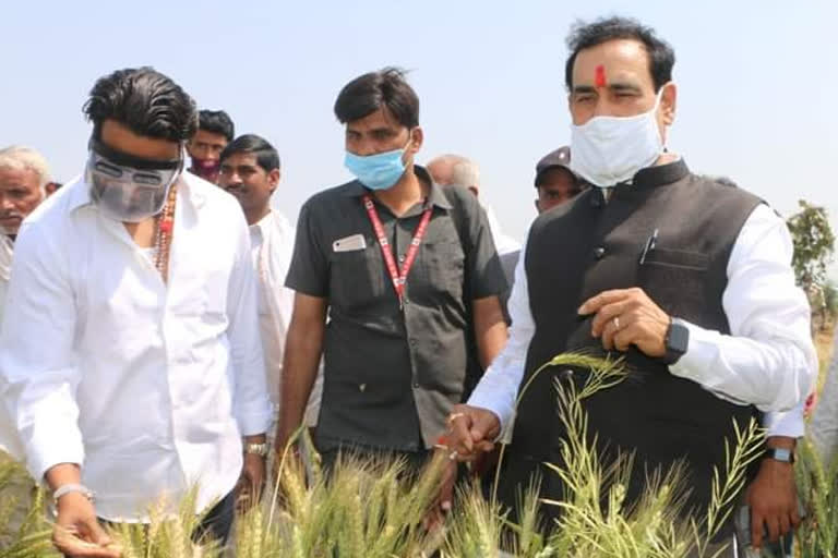 Home Minister Narottam Mishra inspected damaged crops