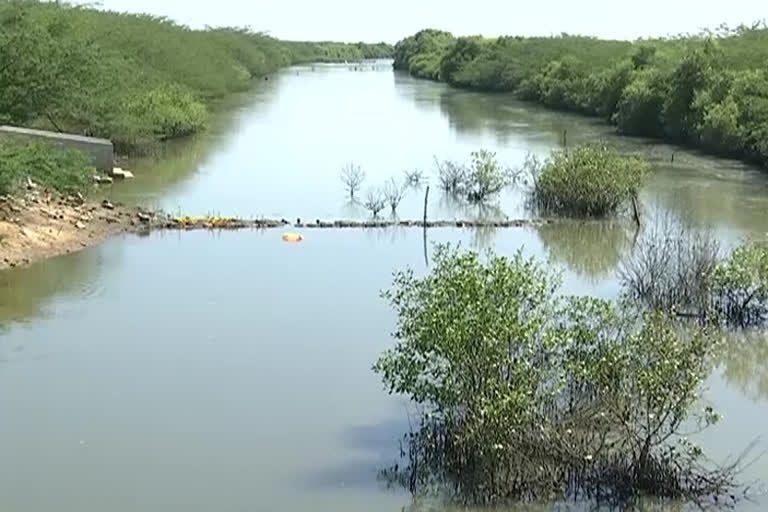 aqua farmers wanted canal open