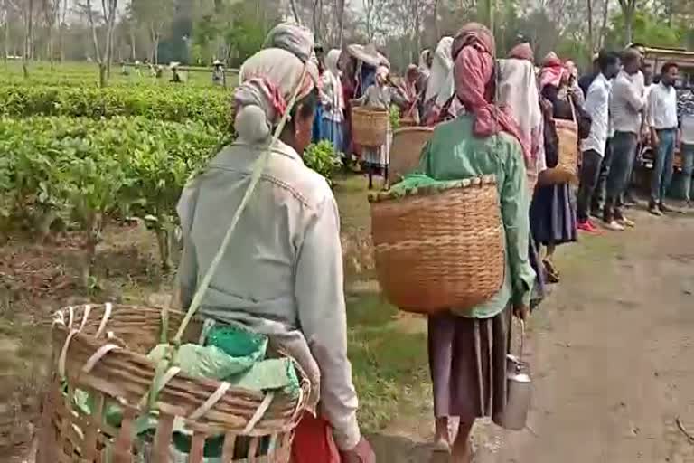 aatsa organizes political awareness meeting in the tea gardens of amguri