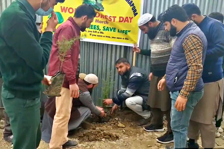 World Forestation Day celebrated in Sopore